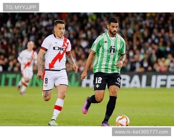 bet16瑞丰提供多样化的体育赛事和丰富的娱乐游戏内容