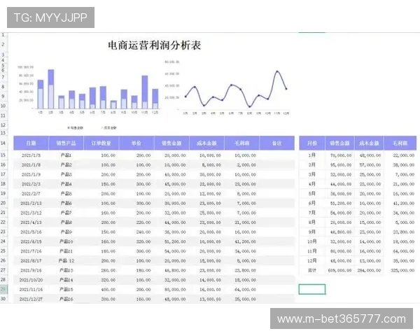 久发365登录，便捷操作助你快速完成财务报表