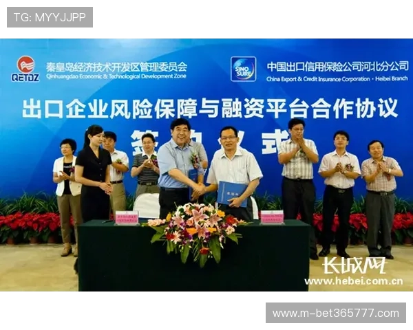 安全保障在bet365国际登录中的重要性及防范网络风险的实用建议助力用户安全游戏