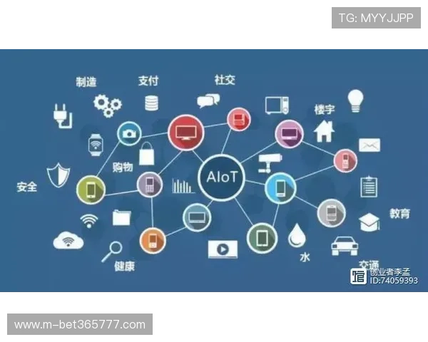 提升企业管理效率的365登录平台企业版功能介绍与应用场景