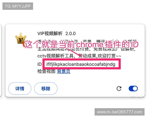 inbet国际首页平台优惠活动详解助你轻松享受更多奖金奖励