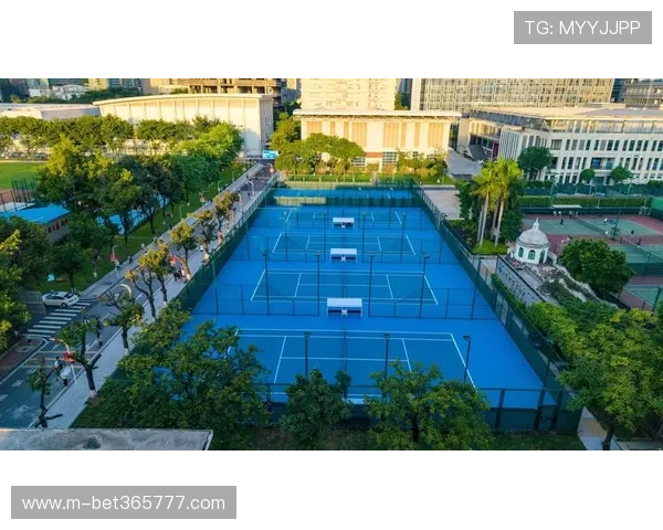 lbet体育打造专业化的体育投注平台，全面满足你的体育博彩需求